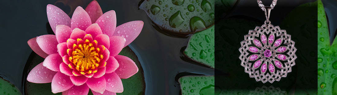 Lotus